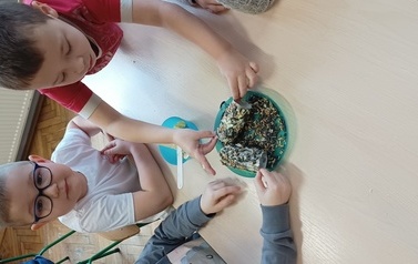 Dokarmiamy ptaki zimą gr.Tropiciele 4