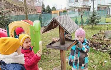 Dokarmiamy ptaki zimą gr.Tropiciele 8