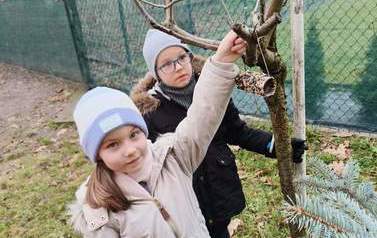 Dokarmiamy ptaki zimą gr.Tropiciele 10