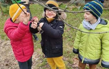 Dokarmiamy ptaki zimą gr.Tropiciele 11