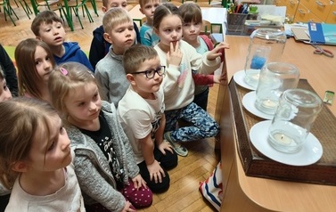 Cztery żywioły  grupa Tropiciele 12
