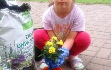 Krasnale sadzą kwiaty 17