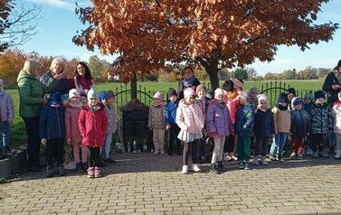 IMG_20231102_104527816