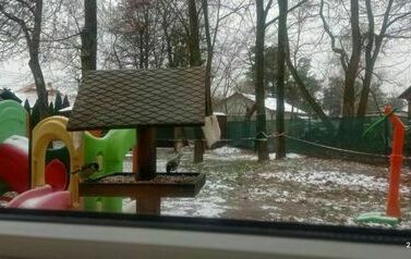 Dokarmiamy ptaki 1