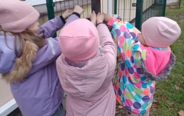 Dokarmiamy ptaki grupa Tropiciele  2
