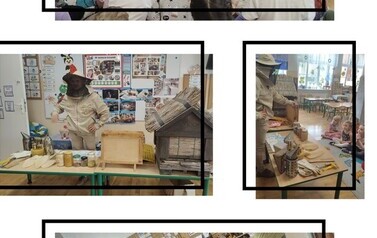 20260520_204715-COLLAGE