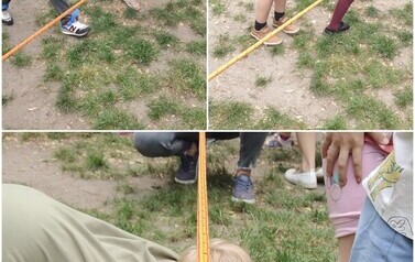 20260602_181557-COLLAGE