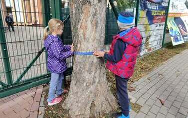 Kolorowa jesień 7