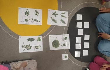 Światowy Dzień Drzewa gr. Tropiciele 2