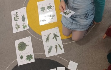 Światowy Dzień Drzewa gr. Tropiciele 3