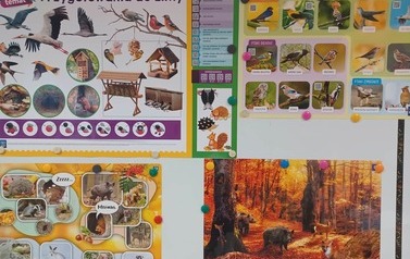 Zwierzęta jesienią gr. Tropiciele 9